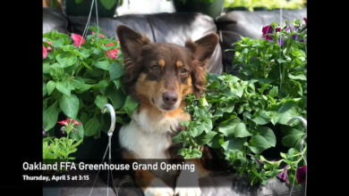 Oakland High School FFA Plant Sale