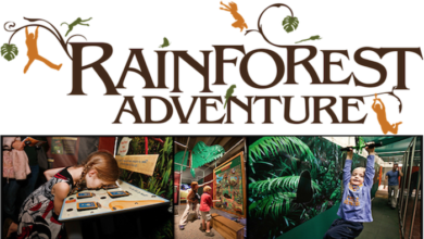 Rainforest Adventure