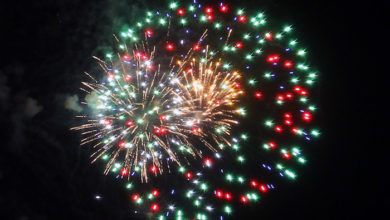 Celebration Under the Stars 2012.