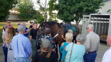 Sheriff Citizen Academy mounted patrol