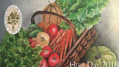 Herb Day
