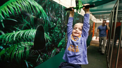 Rainforest Adventure exhibit