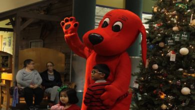 Clifford the Big Red Dog