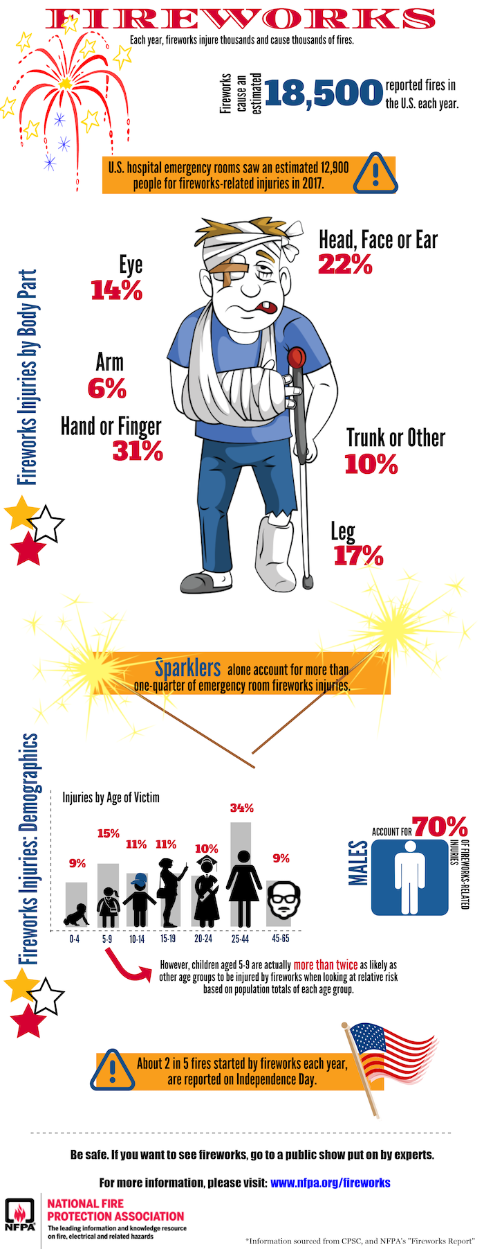 Fireworks Infographic