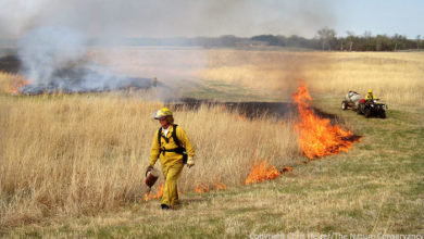 Prescribed Fire