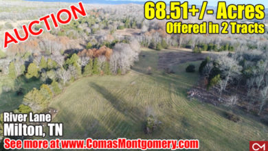 Auction at River Lane, Milton, TN