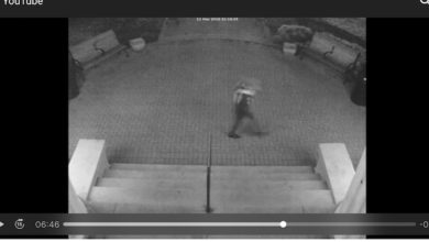 Vandalized Monument Suspect