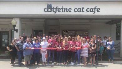 Ribbon Cutting Celebration for Catfeine Boro Cat Cafe