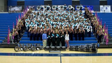Siegel Band