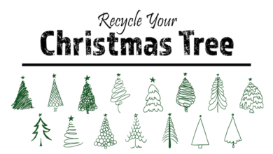 Recycle Your Christmas Tree