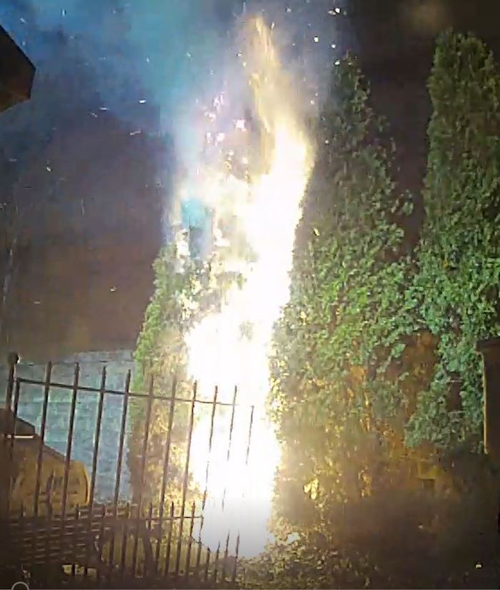 Tree Arson
