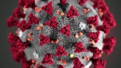 Corona Virus