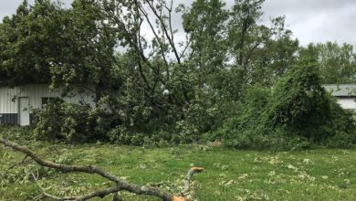 Murfreesboro Storm report May 4, 2020