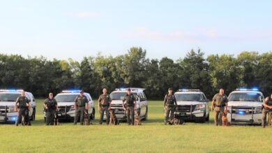 Sheriff's K9s celebrate National Dog Day