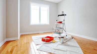 Professional Painter