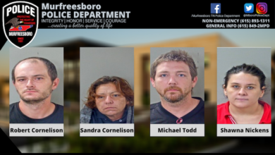 Murfreesboro theft ring