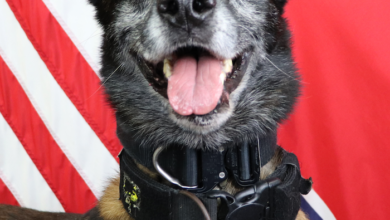 La Vergne K9 Officer Sjaak