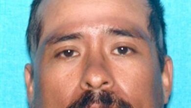 Armando Morales, Jr