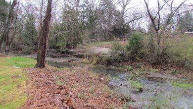 Brookeside Park