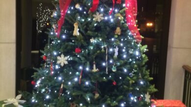 Christmas and New Years Holiday Closings