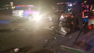 Benedetti Crash header