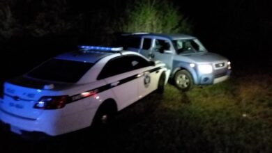 Smyrna Carjacking Incident