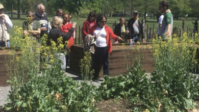Grounds Tours