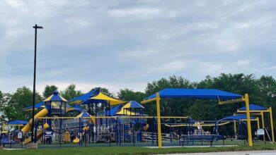 Freedom Playground