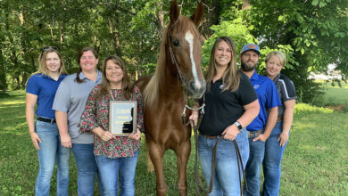 MTSU Horse Science recognition