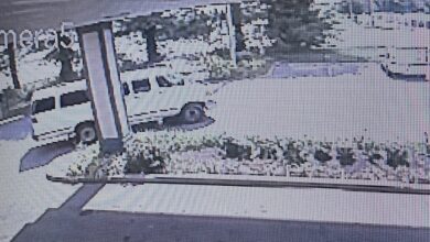 Van Getaway Vehicle
