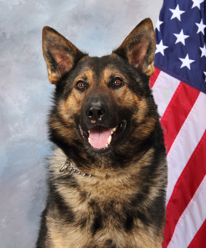 K9 Balu