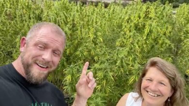 Kingdom Acres CBD & Hemp Annual Hemp Crumble Event