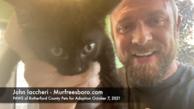 PAWS of Rutherford County Pets for Adoption October 7, 2021