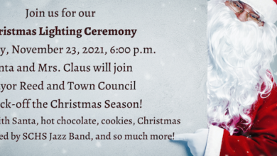 Smyrna Christmas Lighting 2021