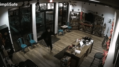 Two businesses broken into