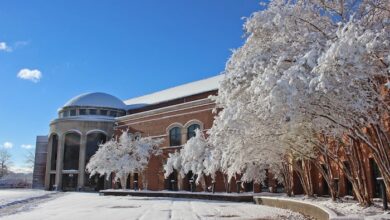 Murfreesboro City Hall Snow