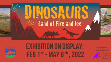 Dinosaurs Land of Fire and Ice