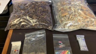 SID Seized Drugs