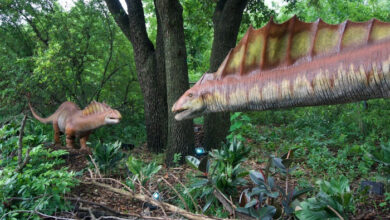 Baby Dinosaur Hatches at Nashville Zoo