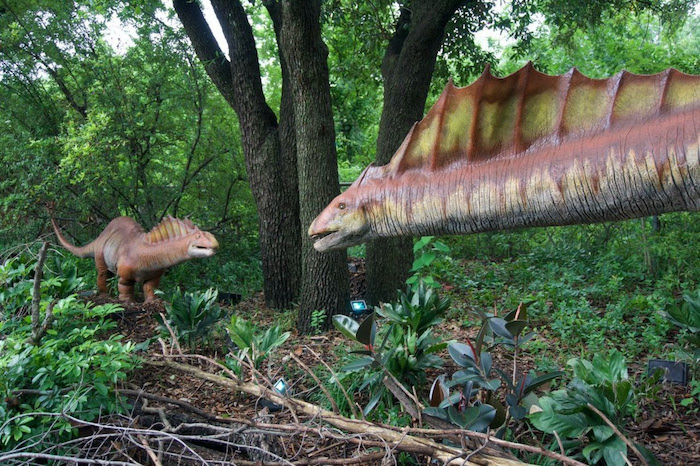 Baby Dinosaur Hatches at Nashville Zoo