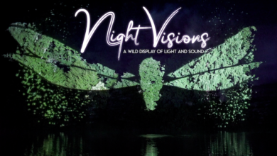 Night Visions Nashville Zoo
