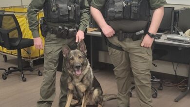 deputies recover $46,000 worth of methamphetamine