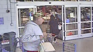 BOLO Person of Interest in Stolen Purse Case