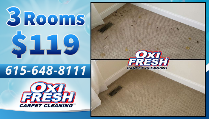 Oxi Fresh Murfreesboro