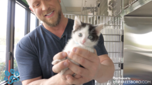 PAWS Pets for Adoption April 21, 2022