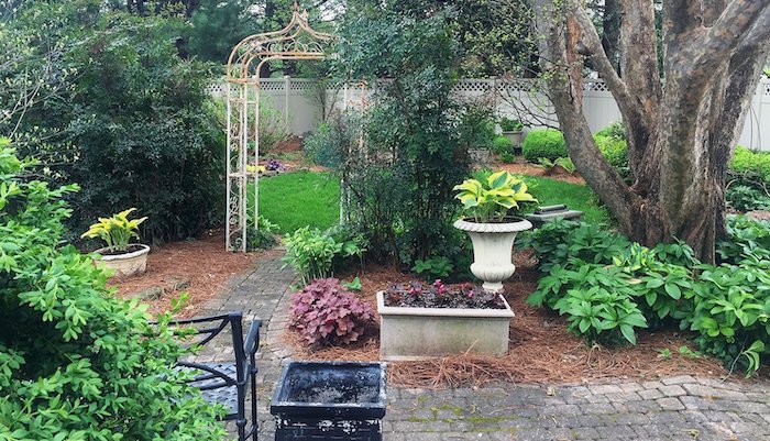 Discovery Center Secret Garden Tour