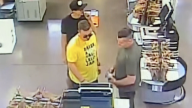 Fraudulent Use of a Credit Card Case