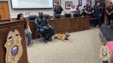 La Vergne Celebrated the Retirement of Police K9