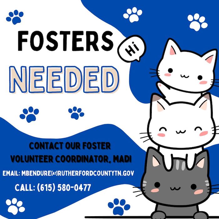 PAWS Fosters Needed