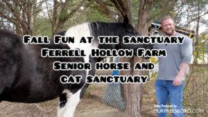 Fall Fun at the Sanctuary